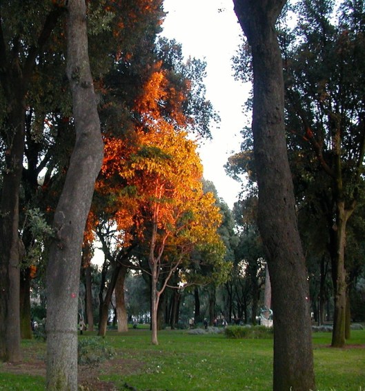 004_prato cesena 740