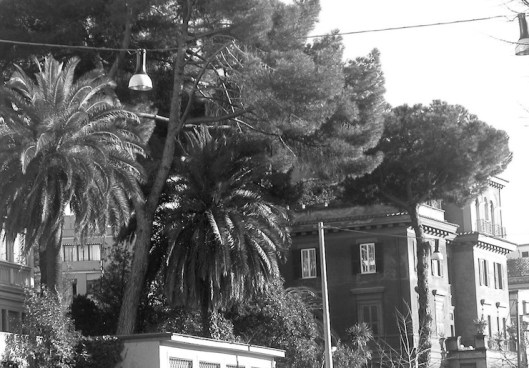 002_medaglie d'oro NB 740