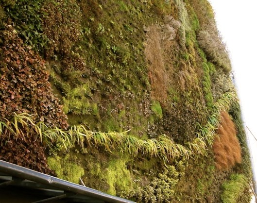 002_rempart vert avignon antique 740