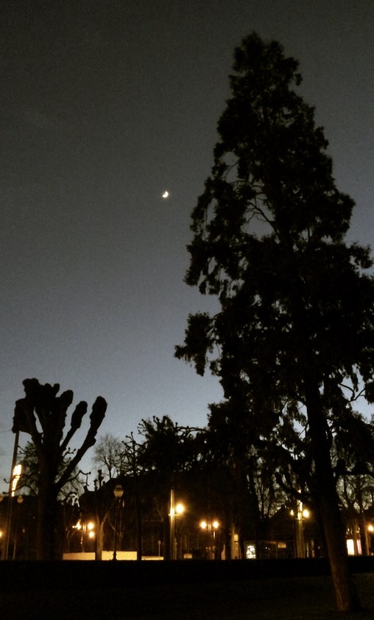 002_memoire silence 180 antique 18