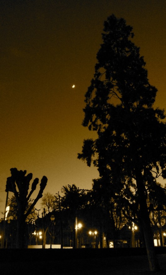 004_memoire silence 180 sepia 18