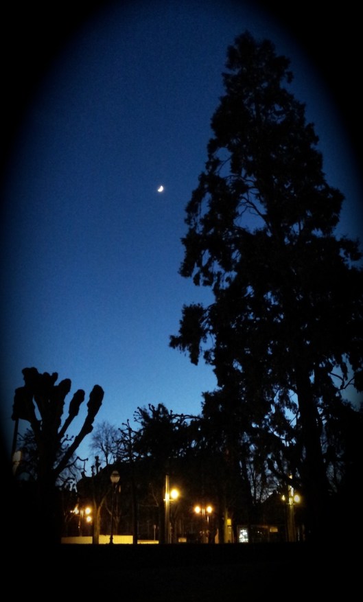 005_memoire silence 180 vignette 18