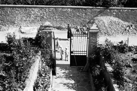 C006_al bosco_001 180 bis