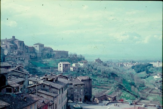003_siena forse doppioni 180