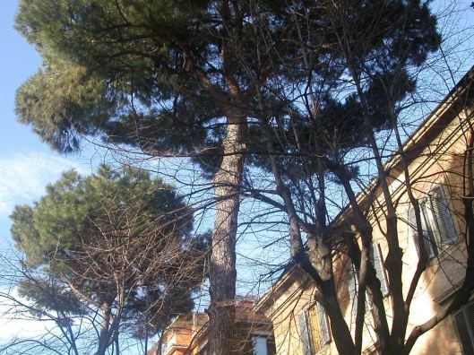 003_cartolina 10 180