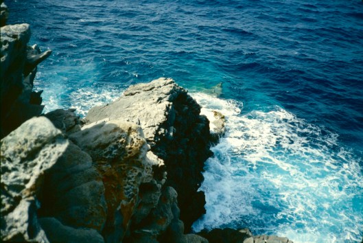 003_des marines 003 180