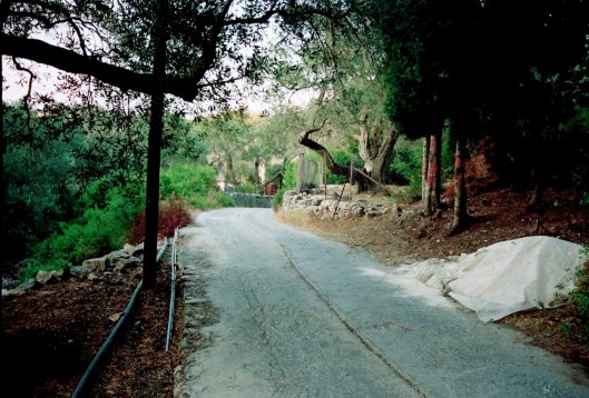 003_paxos 1990 (26) 180