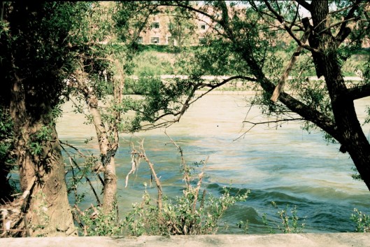 004_amour adieu 004 180