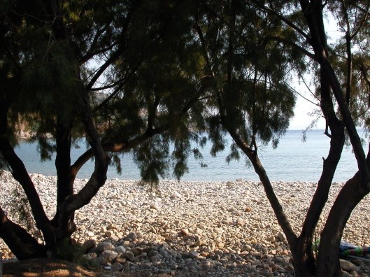 005_vivre caché 180