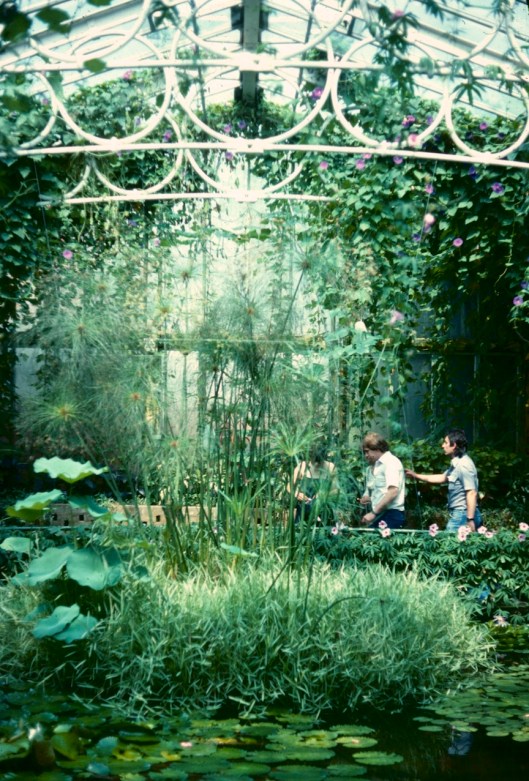 001_jour et soir (12) 180