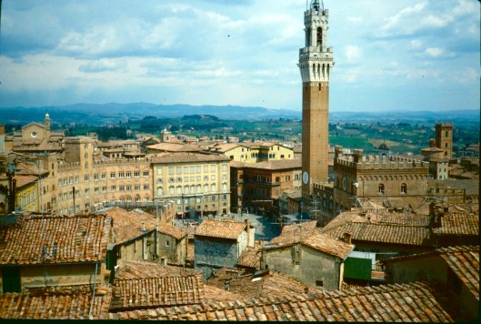 002_siena campo 180