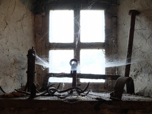 001_photo bonneau 001 180