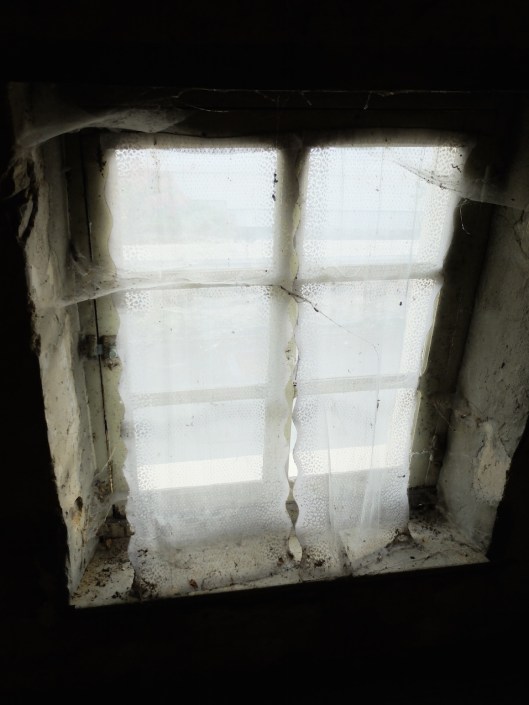 002_photo bonneau 002 180