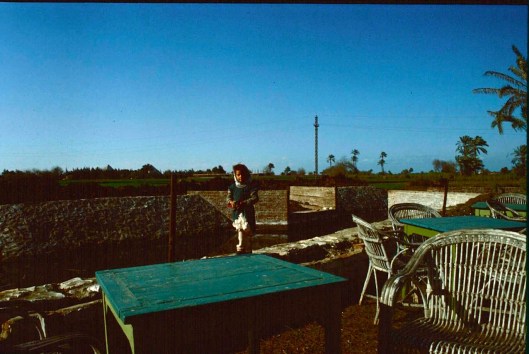 007_Egitto miele (26) 180