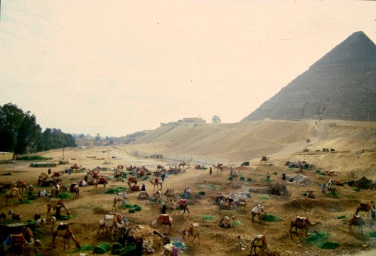 009_Egitto piramidi 01 180