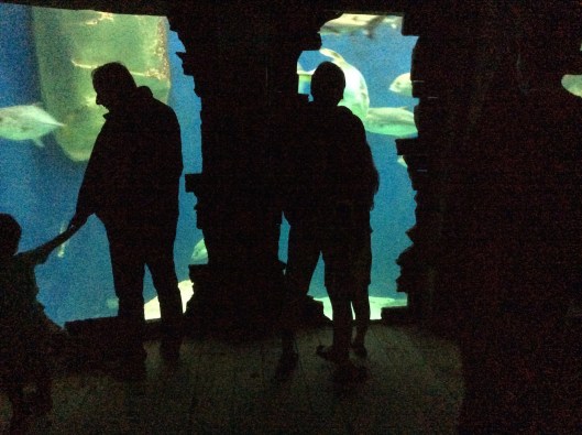 003_s'éclipse toujours 180