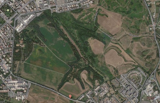 003_il mio prato JPG