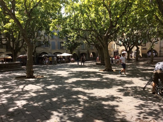 003_uzès herbes 180