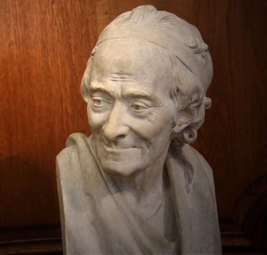 007_voltaire realistico