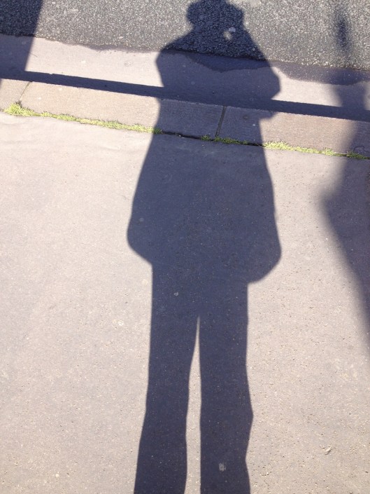 002_ombre pour royo 180