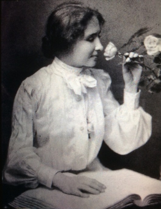 003_libro e fiore 180