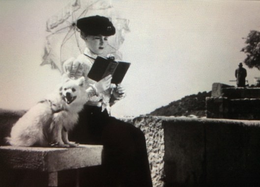 008_petit chien 1 180