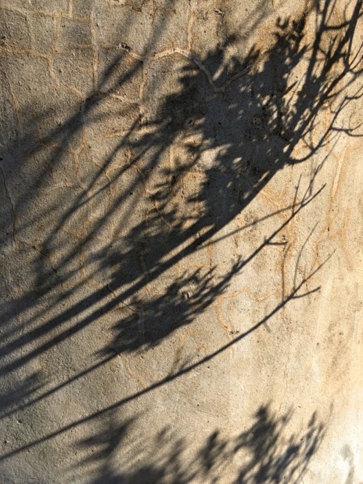 002_lautomneetsacoursedesombres