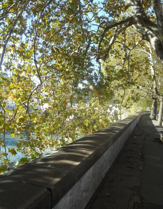 004_lgtevere_tatafiore-1